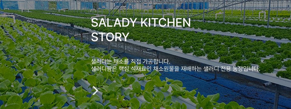 샐러디 스토리